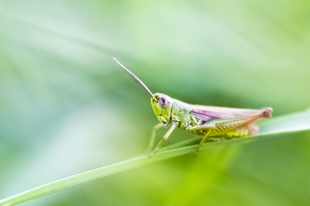 7. Platz Conny Kleiner